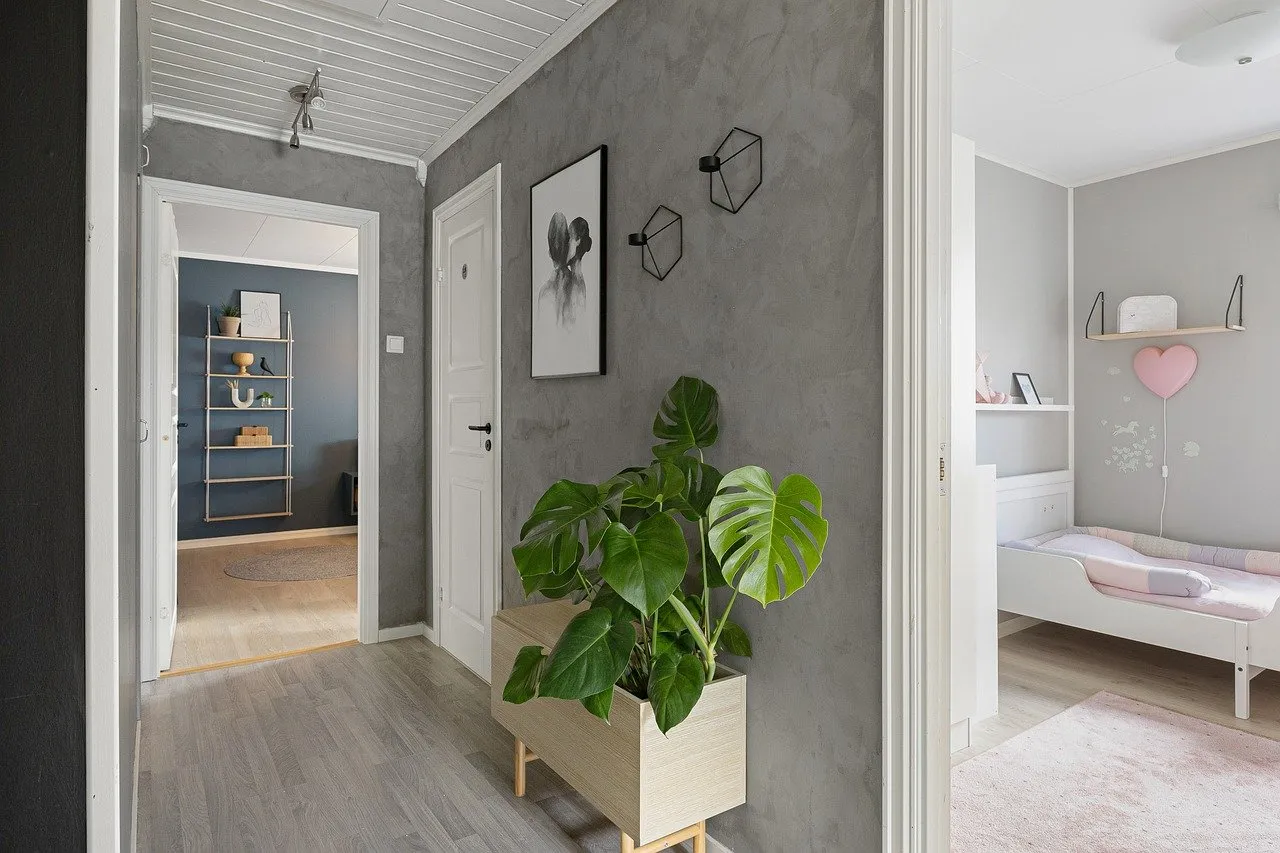 déco avec plantes