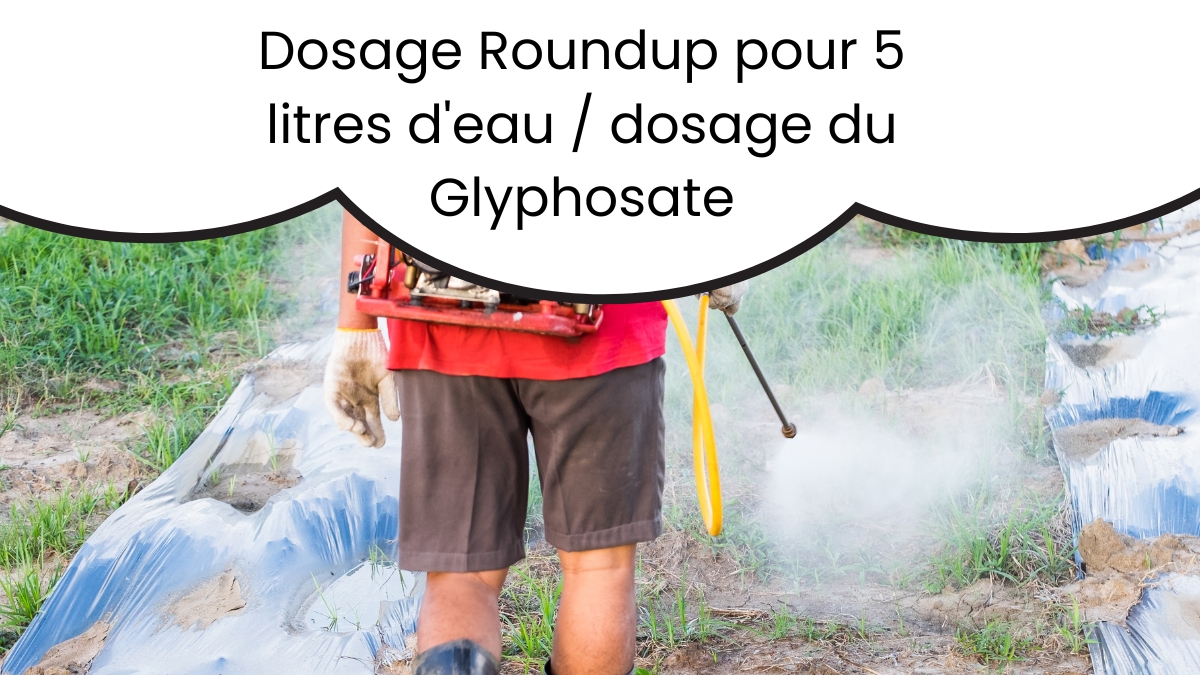 Dosage Roundup pour 5 litres d'eau dosage du Glyphosate
