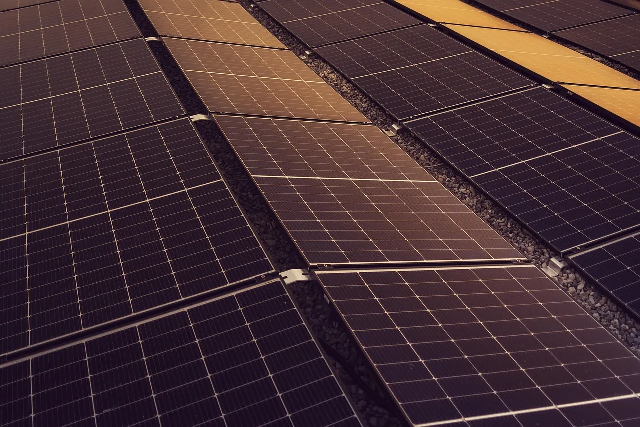 Fermes solaires : comment les entreprises coupent leur dépendance énergétique