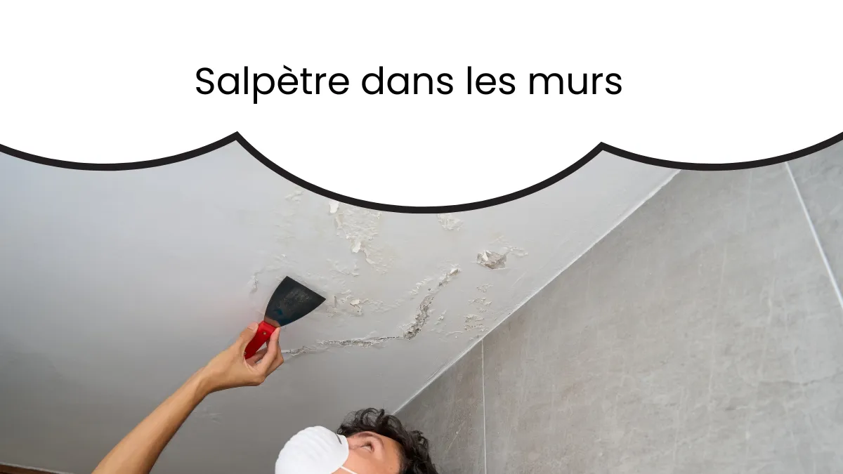 salpètre dans les murs