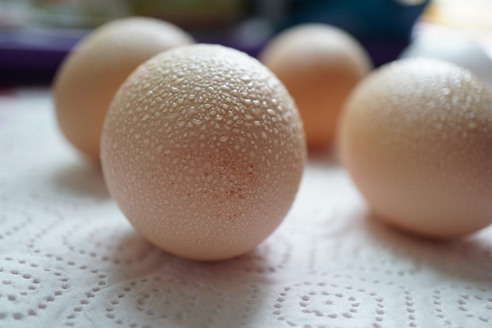 Почему мутные белки яиц. Raw Egg.