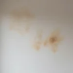 Humidité dans les murs que faire : le diagnostic rapide qui vous évite de vous ruiner chez le mauvais professionnel