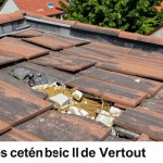 Toiture à Vertou : comment identifier les premiers signes de dégradation ?