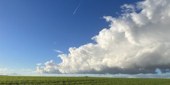 À_la_recherche_du_terrain_idéal_?_Tout_ce_que_vous_devez_savoir_!