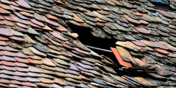 Pourquoi_est_il_nécessaire_de_réparer_une_fuite_de_toiture_?