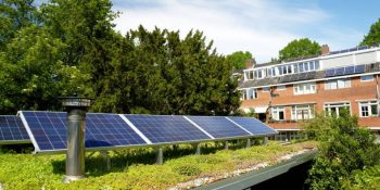 media-les-avantages-des-toitures-vegetalisees-en-ville